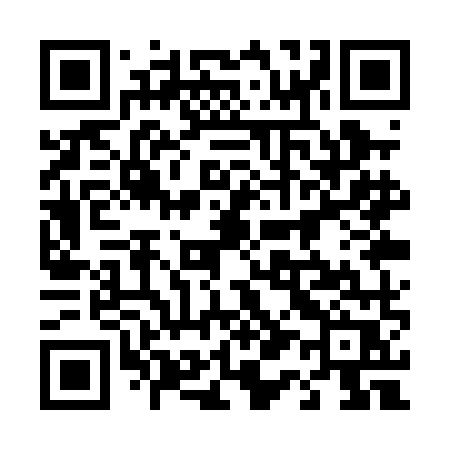 QR code for 411PMR