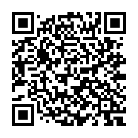 QR code for 411UDI