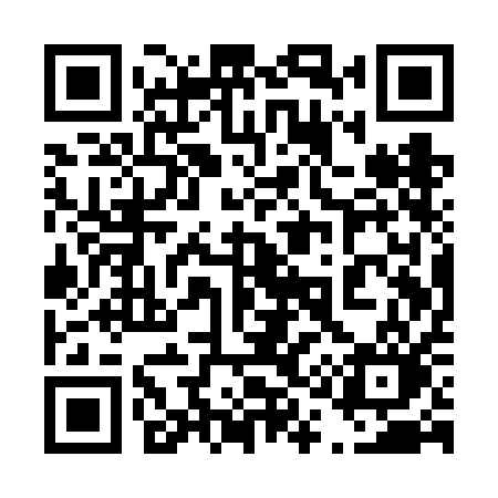 QR code for 411VAO