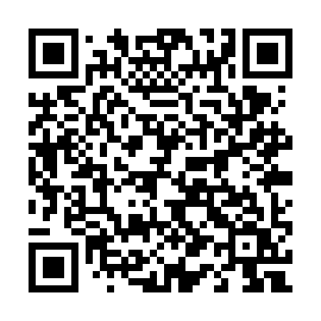 QR code for 411VIV