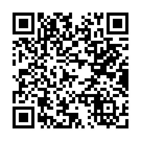 QR code for 411VLV