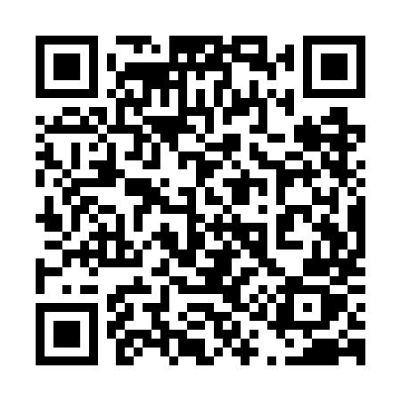 QR code for 411WMZ