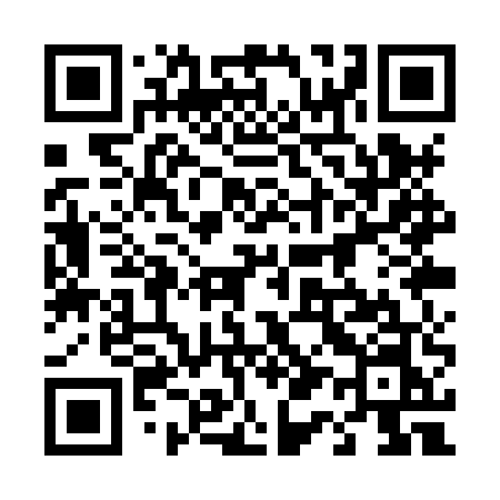 QR code for 411XUN