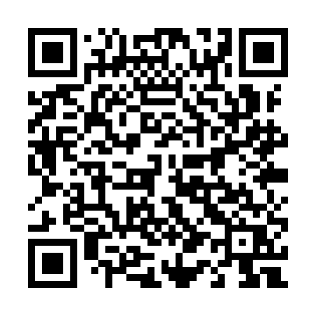 QR code for 411YER
