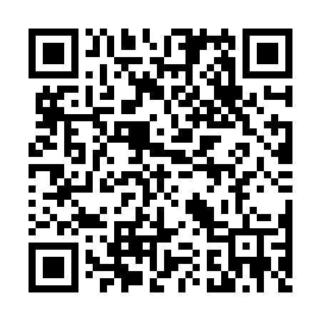 QR code for 411ZGT