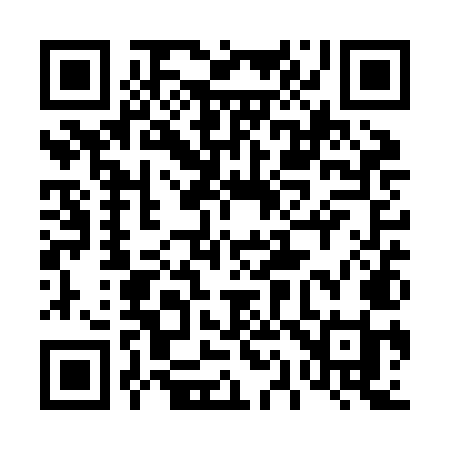 QR code for 411ZMI