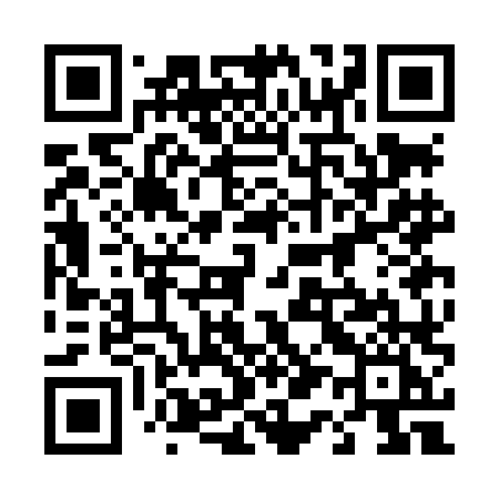 QR code for 413LLI