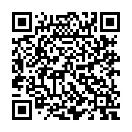 QR code for 419HHX