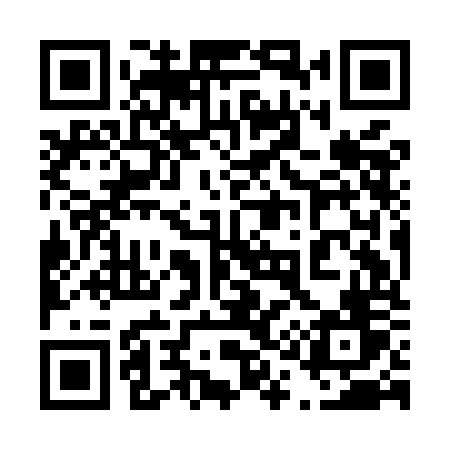 QR code for 419MOV