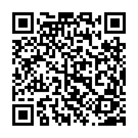 QR code for 419SFZ
