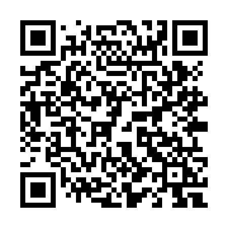 QR code for 419ZNI
