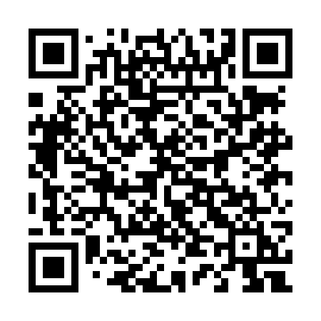QR code for 441LGI