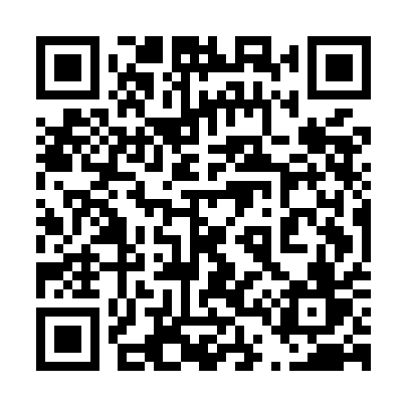 QR code for 445MAV