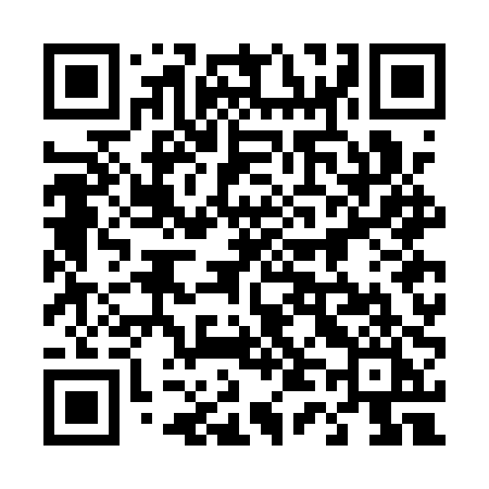 QR code for 447API