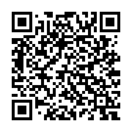 QR code for 447WGI