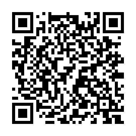 QR code for 451PII