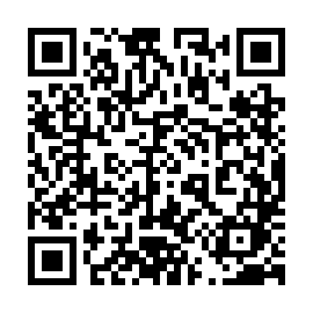 QR code for 451SLM