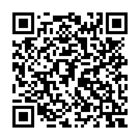 QR code for 453NYE