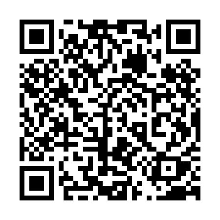 QR code for 455PAY