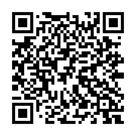 QR code for 459PDF