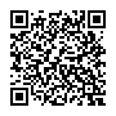 QR code for 461CZK