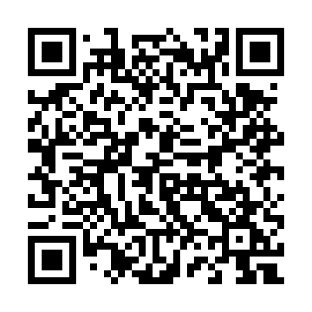 QR code for 461DUG