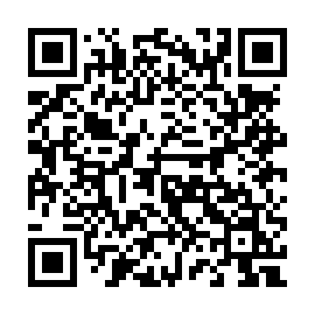 QR code for 461LUN