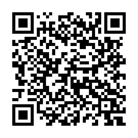 QR code for 461MTS