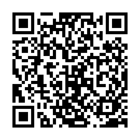 QR code for 461PQO