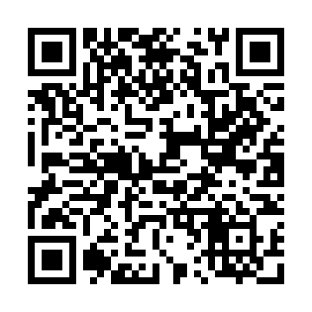 QR code for 462CNY