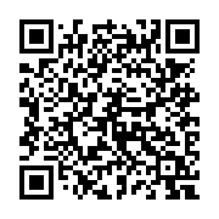 QR code for 462NIT