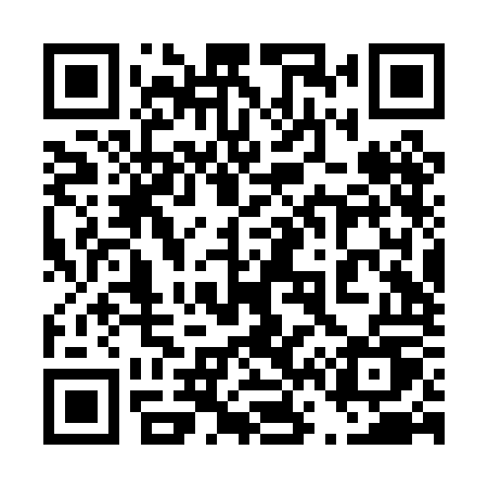 QR code for 462POU