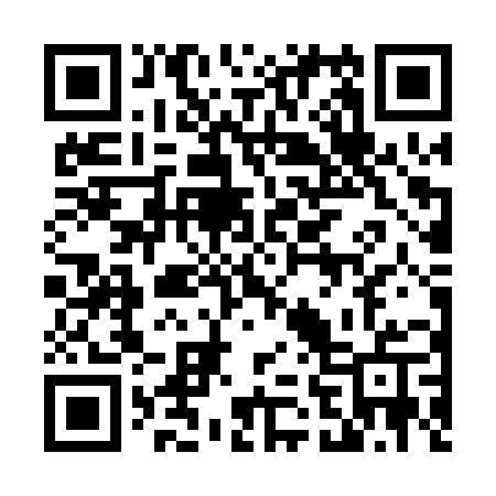 QR code for 462PZU