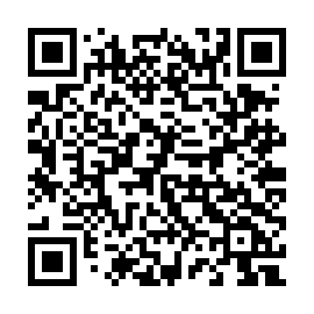 QR code for 462TDF