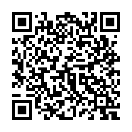 QR code for 463AUI