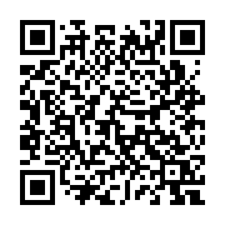 QR code for 463CWS
