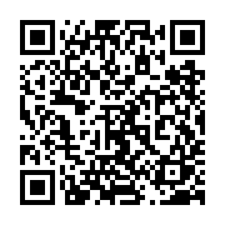 QR code for 463GIS