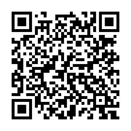 QR code for 463LBI