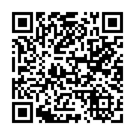 QR code for 463NII