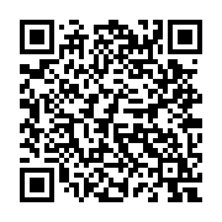 QR code for 463PYY