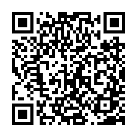 QR code for 463RTS