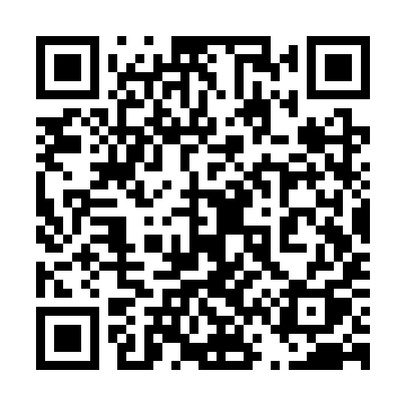 QR code for 463SYQ