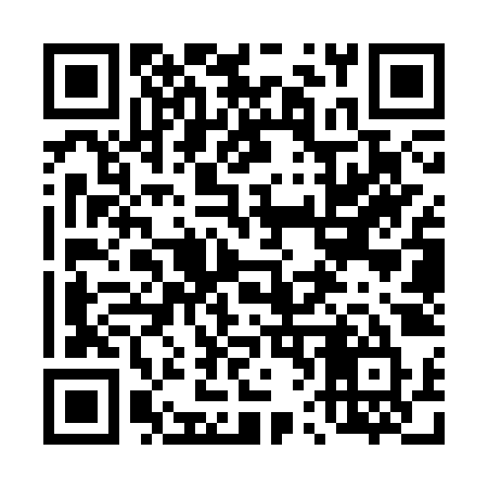 QR code for 463SZU