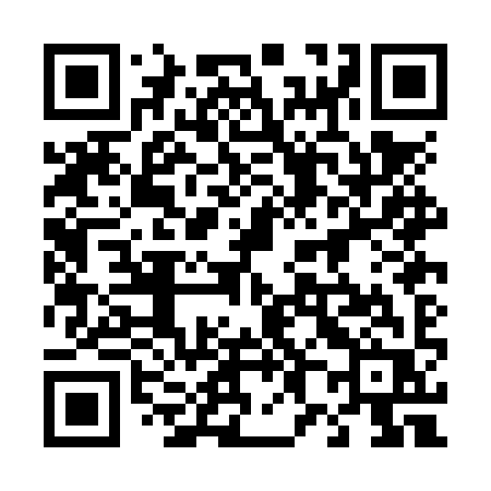 QR code for 480NYR