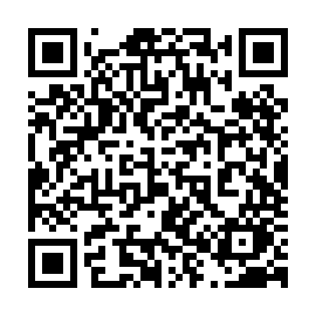 QR code for 482POO