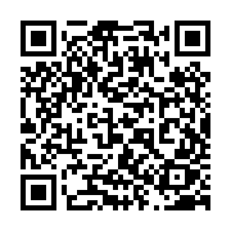 QR code for 482PUZ