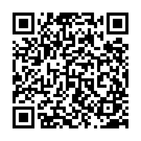 QR code for 489EMS