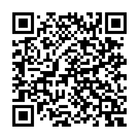 QR code for 491DJT