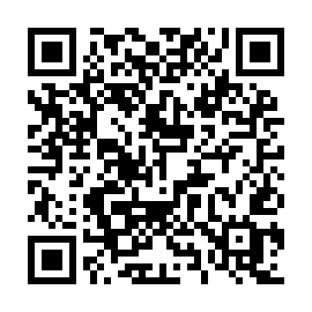 QR code for 491IEG