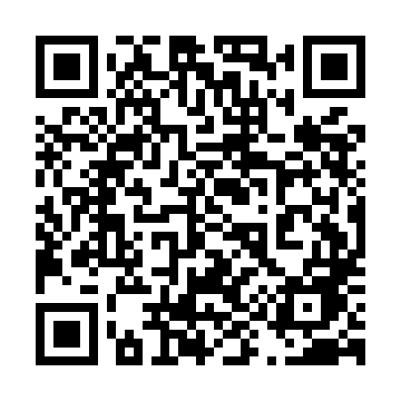 QR code for 491MLE